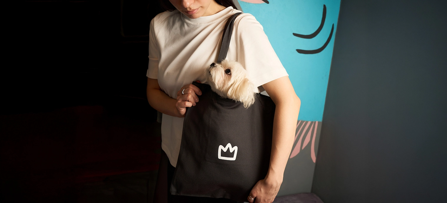 «В поддержку важных лап»